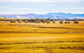 山东出发自驾河北张家口草原天路3日：自驾红井天路-草原天路-四十里峡穿越3日游-亲子圈网